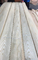 OEM Putih Ash Kayu Veneer Crown Cut 0,45mm Ketebalan 2500m + panjang